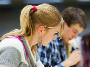 新西兰林肯大学读本科有哪些要求