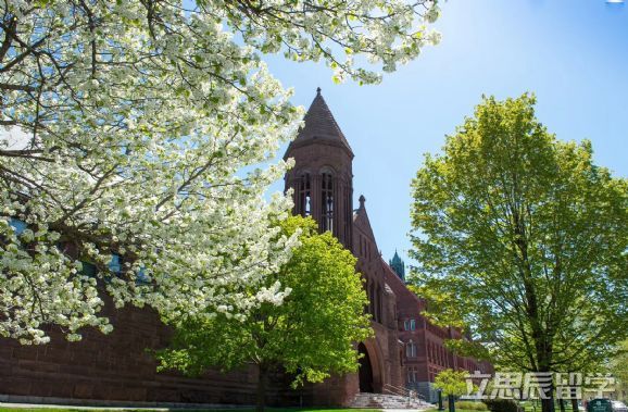 高质量实习助力，转专业申请获密歇根大学会计硕士录取！