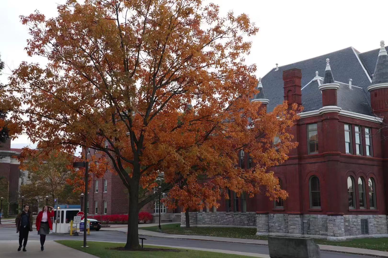 斟酌文书，专业规划，顺利收获雪城大学录取