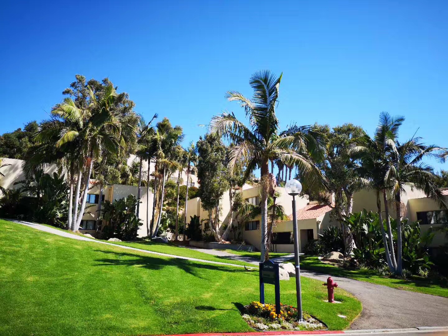 明尼苏达大学双城分校录取