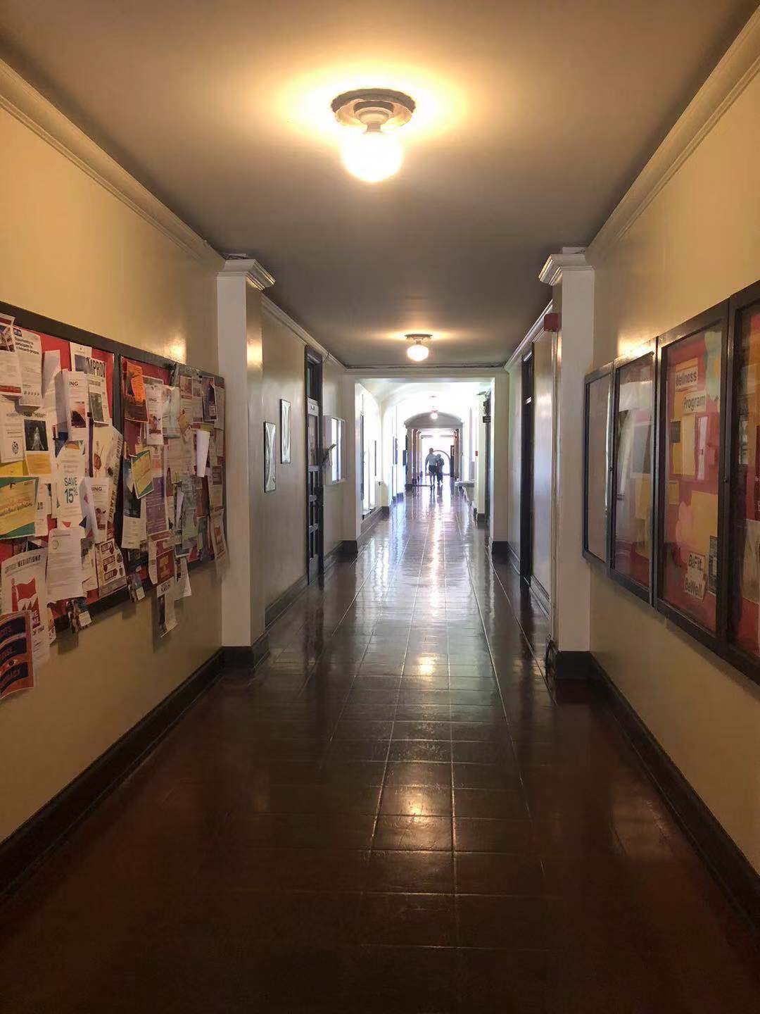 布兰迪斯大学法律专业