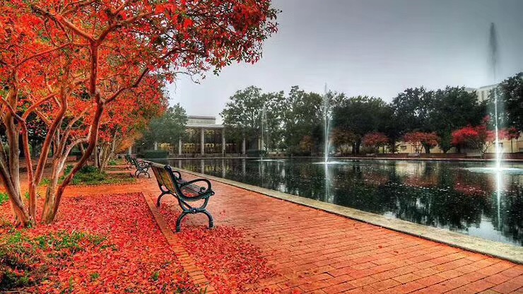 弗吉尼亚大学城市规划专业