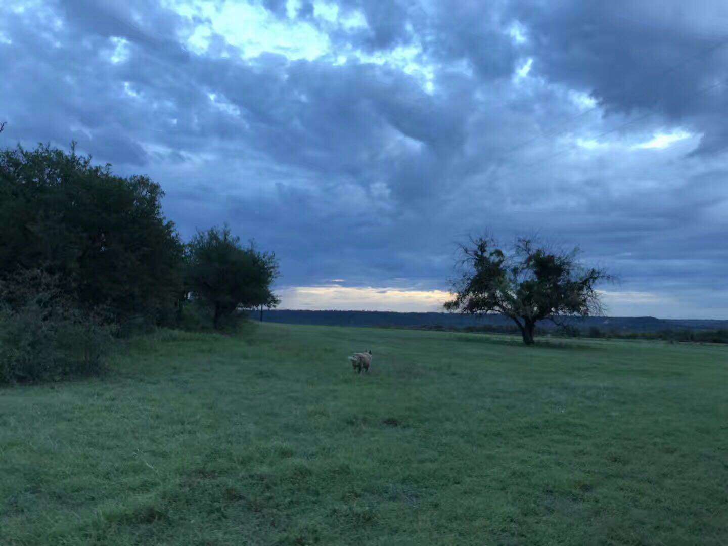 低托福成功逆袭，拿下美国贝勒大学金融学双录取